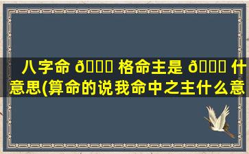 八字命 🐈 格命主是 🐎 什么意思(算命的说我命中之主什么意思)
